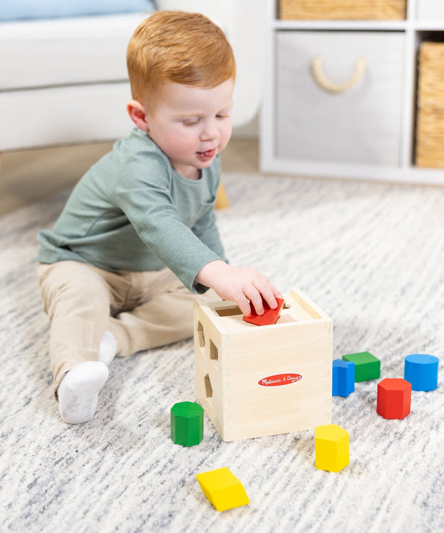 Shape-Sorting Cube