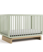 Sage with Driftwood