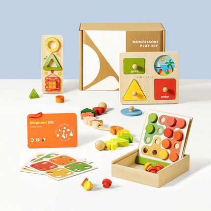 Tiny Land® Montessori Toys Set for Toddlers (16-18 Month)
