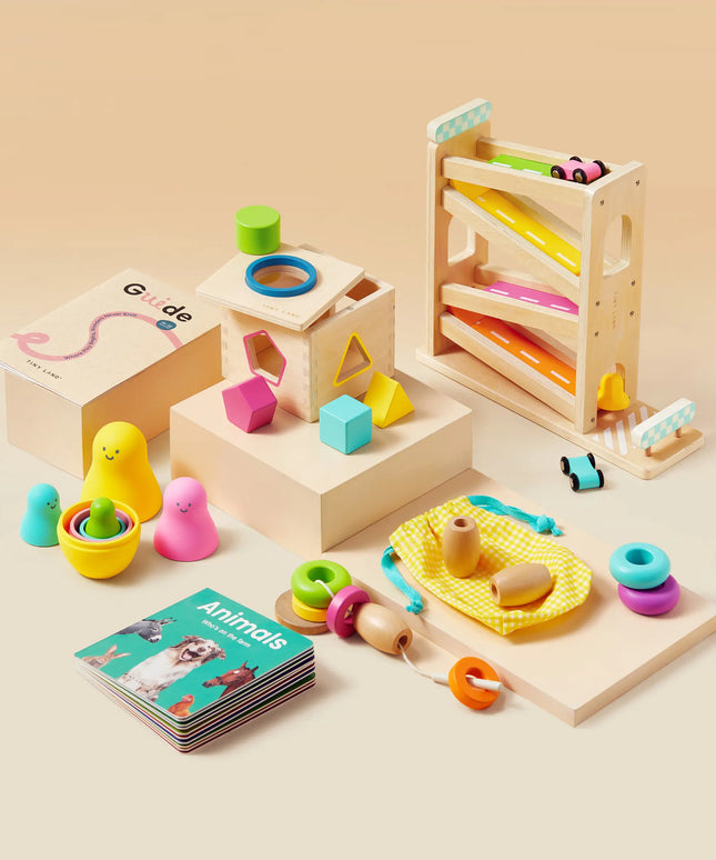 Tiny Land® Montessori Toys Set for Toddlers (16-18 Month)