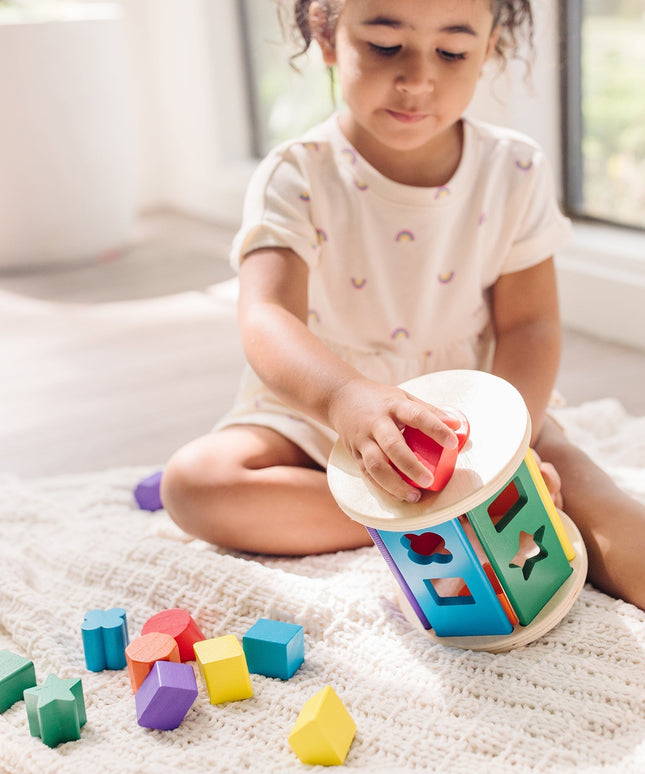 Match and Roll Shape Sorter