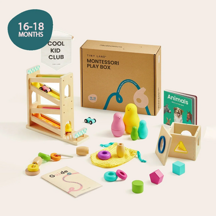 Tiny Land® Montessori Toys Set for Toddlers (16-18 Month)