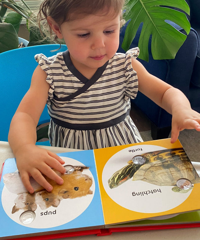Poke-a-Dot: Pet Families Board Book