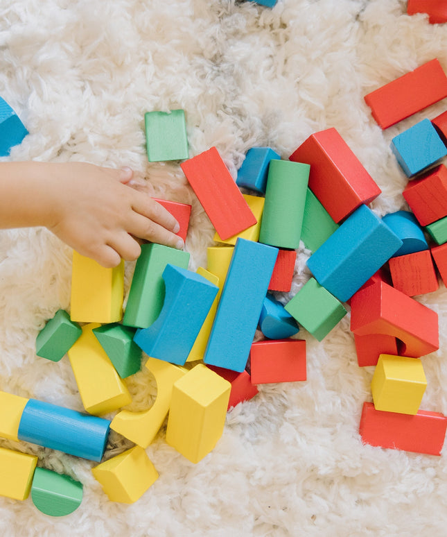 100-Piece Wood Blocks Set