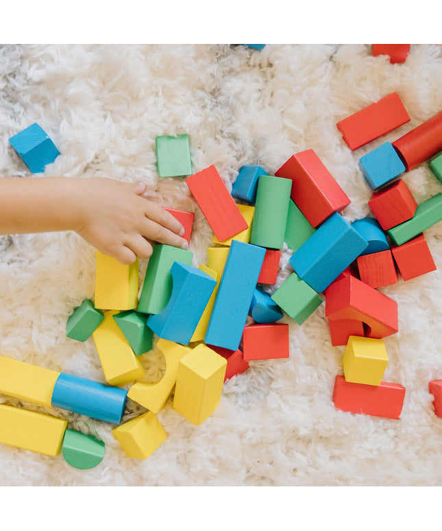 100-Piece Wood Blocks Set