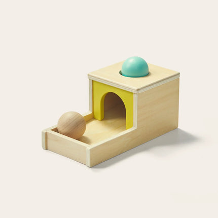 Tiny Land® Montessori Toys Set for Newborns ( 6-9 Month )