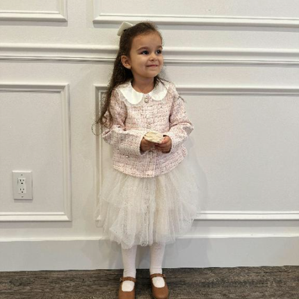 Toddler Girls Elegance Light Pink Coat A-line Mesh Dress Set