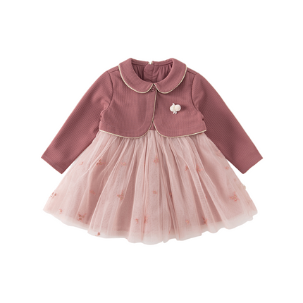 Toddler Girls Purple Pink Noble Mesh Birthday Dress