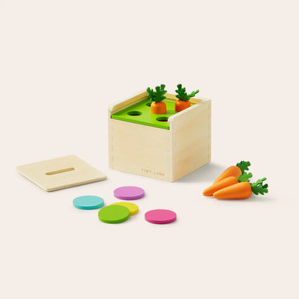 Tiny Land® Montessori Toys Set for Toddlers (13-15 Month)
