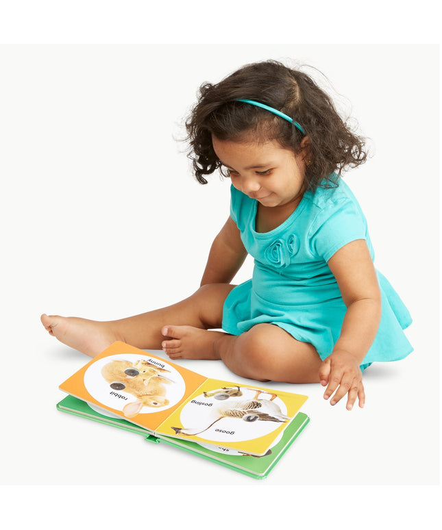Poke-a-Dot: Farm Animal Families Board Book