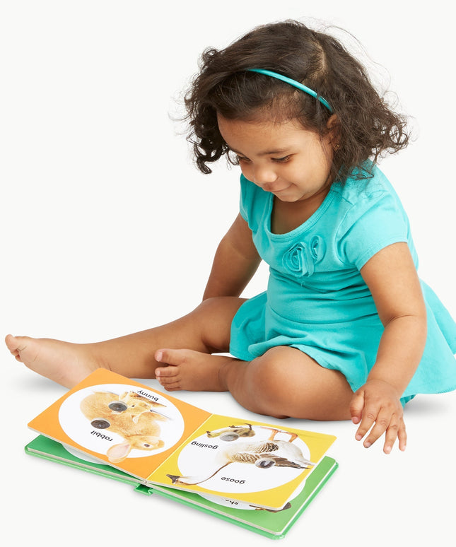 Poke-a-Dot: Farm Animal Families Board Book