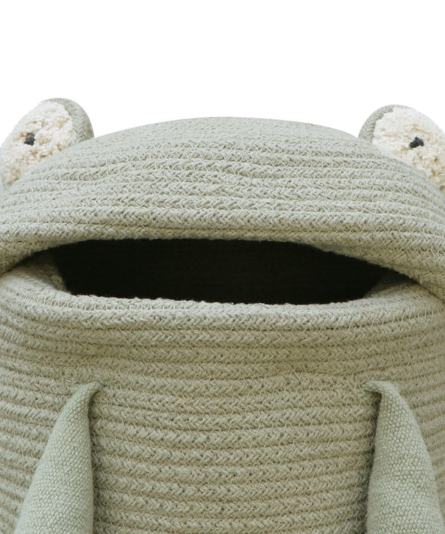 Fred the Frog Basket