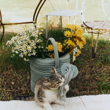 Watering Can Basket