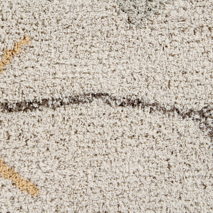 Earth Kaarol Washable Rug