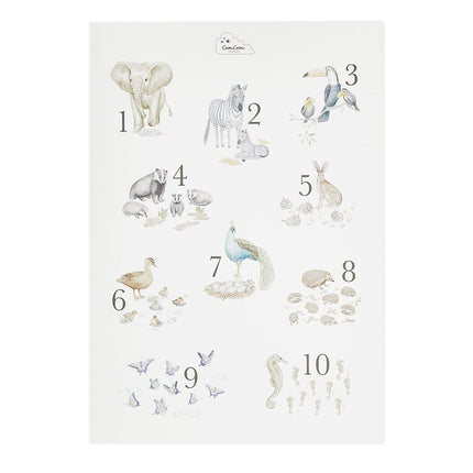 Cam Cam Number Poster