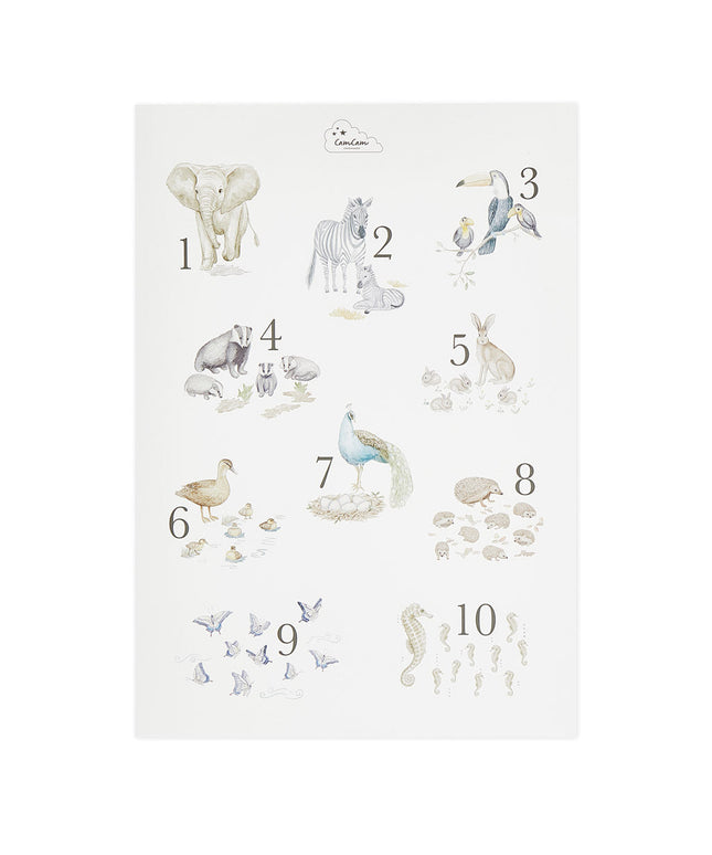 Cam Cam Number Poster
