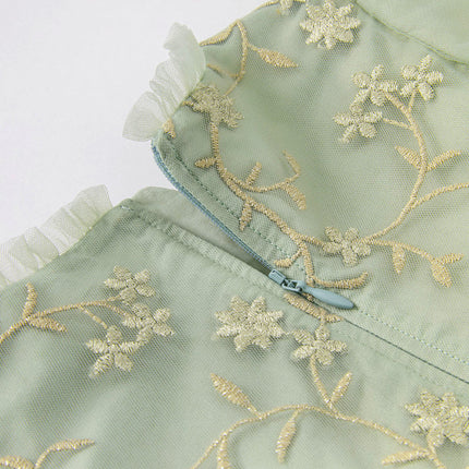 Toddler Girls Grey Green Mesh A-line Princess Dress