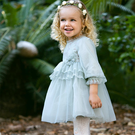 Toddler Girls Grey Green Mesh A-line Princess Dress