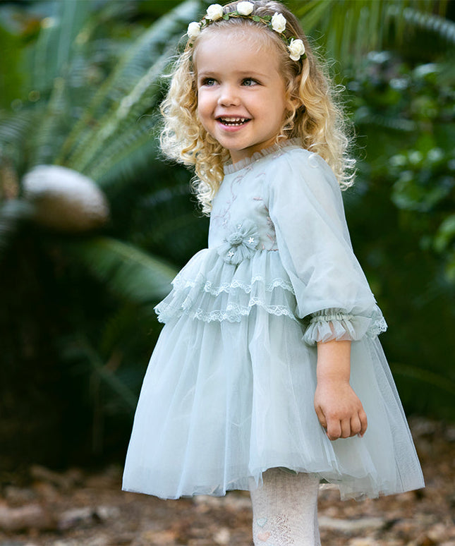 Toddler Girls Grey Green Mesh A-line Princess Dress