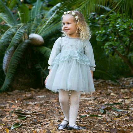 Toddler Girls Grey Green Mesh A-line Princess Dress