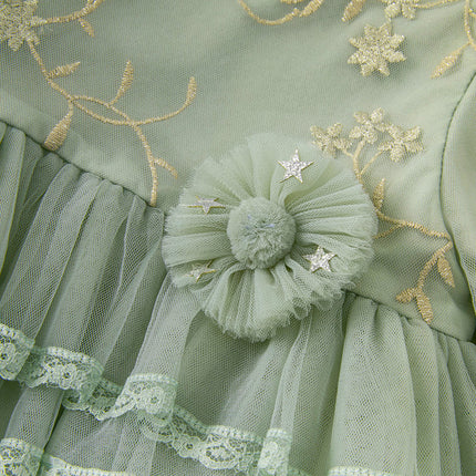 Toddler Girls Grey Green Mesh A-line Princess Dress