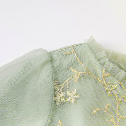 Toddler Girls Grey Green Mesh A-line Princess Dress