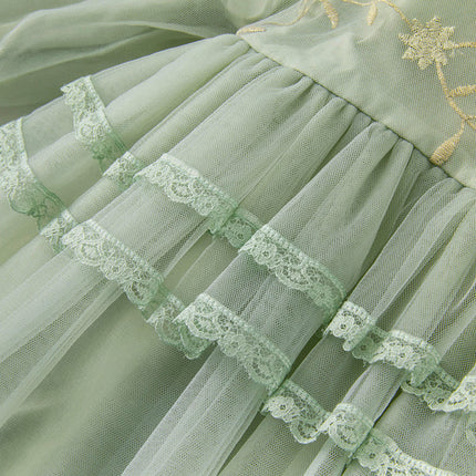 Toddler Girls Grey Green Mesh A-line Princess Dress