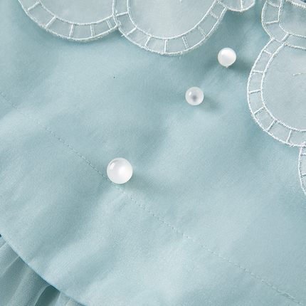 Toddler Girls Noble Grey Blue Long-sleeved Princess Mesh Dress