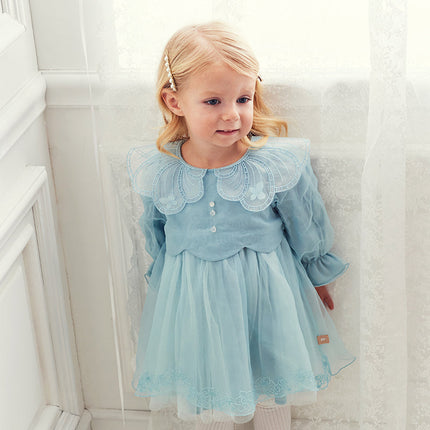 Toddler Girls Noble Grey Blue Long-sleeved Princess Mesh Dress