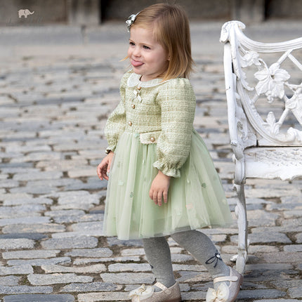 Toddler Girls Delicate Grey Green A-line Party Mesh Dress