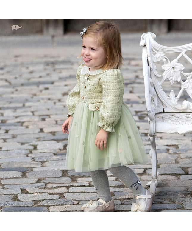 Toddler Girls Delicate Grey Green A-line Party Mesh Dress