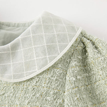 Toddler Girls Delicate Grey Green A-line Party Mesh Dress