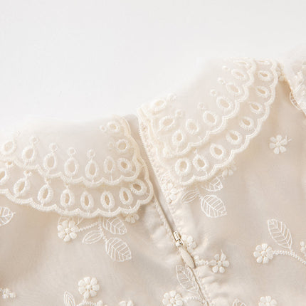 Toddler Girls Beige Embroidered Craft Court Style Mesh Princess Dress