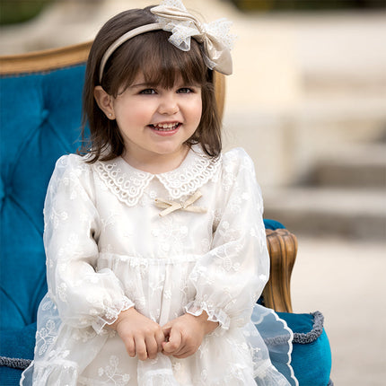 Toddler Girls Beige Embroidered Craft Court Style Mesh Princess Dress