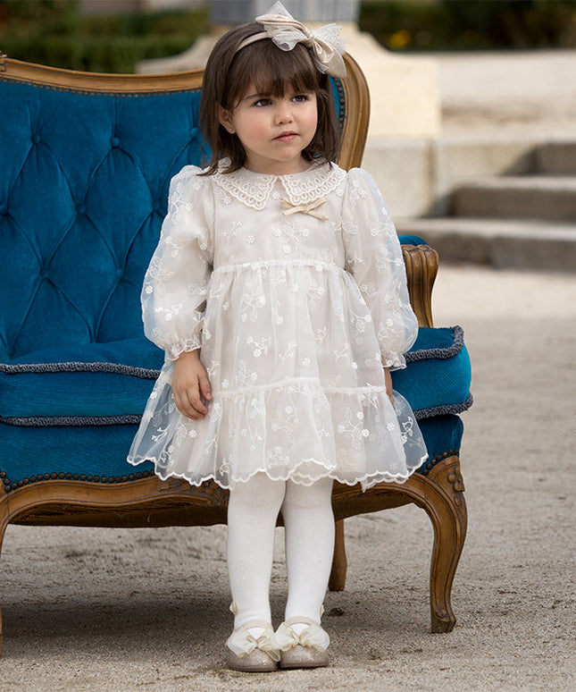 Toddler Girls Beige Embroidered Craft Court Style Mesh Princess Dress