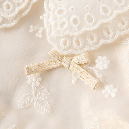 Toddler Girls Beige Embroidered Craft Court Style Mesh Princess Dress