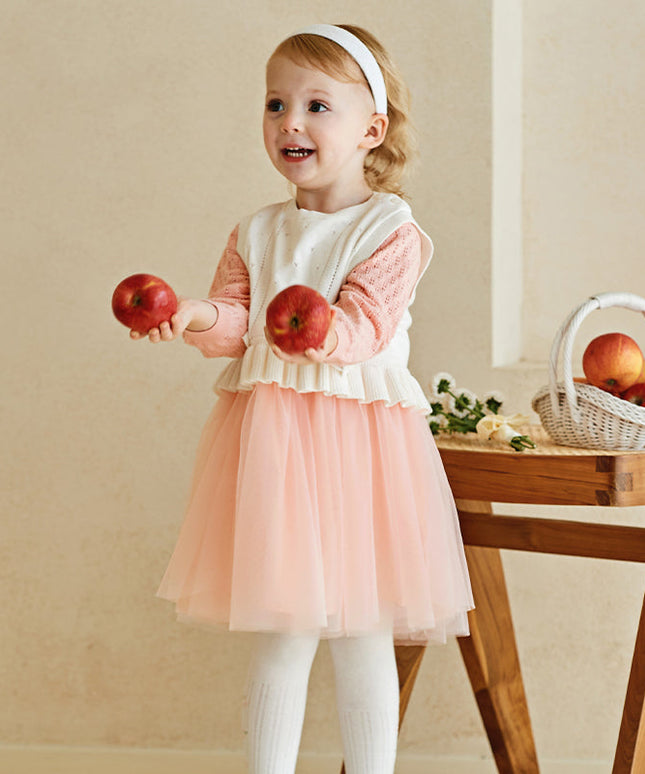 Toddler Girls Light Pink Soft Knit Sweater Mesh A-line Princess Dress