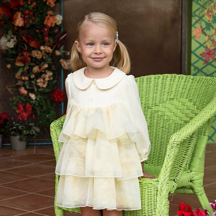 Toddler Girls Gentle Yellow Floral Princess Mesh Dress