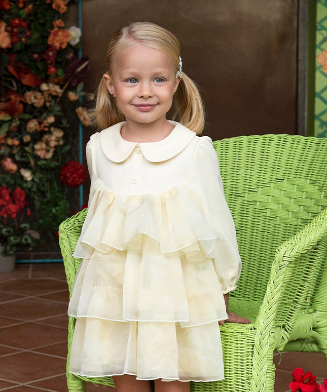 Toddler Girls Gentle Yellow Floral Princess Mesh Dress