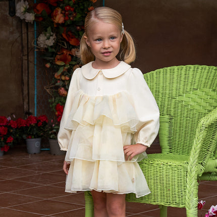 Toddler Girls Gentle Yellow Floral Princess Mesh Dress