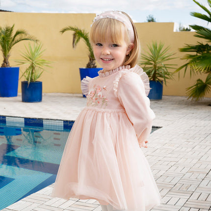 Toddler Girls Adorable Flower Embroidered Mesh Princess Dresses