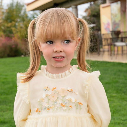 Toddler Girls Adorable Flower Embroidered Mesh Princess Dresses