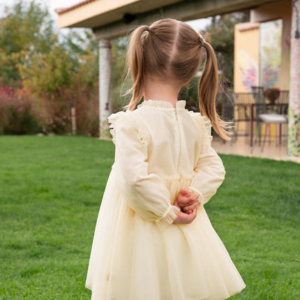 Toddler Girls Adorable Flower Embroidered Mesh Princess Dresses