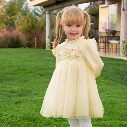 Toddler Girls Adorable Flower Embroidered Mesh Princess Dresses