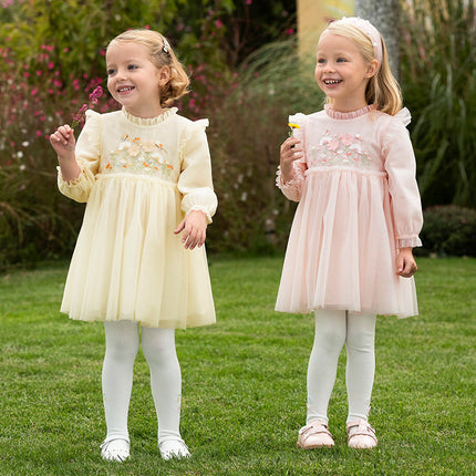 Toddler Girls Adorable Flower Embroidered Mesh Princess Dresses