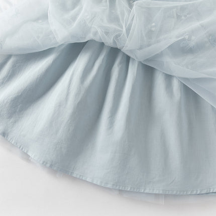 Toddler Girls Elegant Blue Turtle A-line Party Mesh Dress