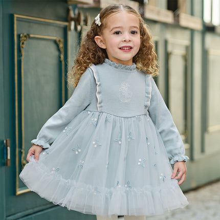 Toddler Girls Elegant Blue Turtle A-line Party Mesh Dress