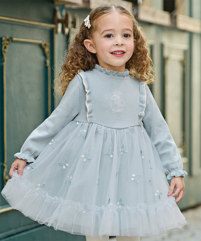 Toddler Girls Elegant Blue Turtle A-line Party Mesh Dress