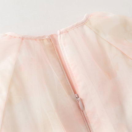 Toddler Girls Adorable Pink Long Sleeve A-line Mesh Dress