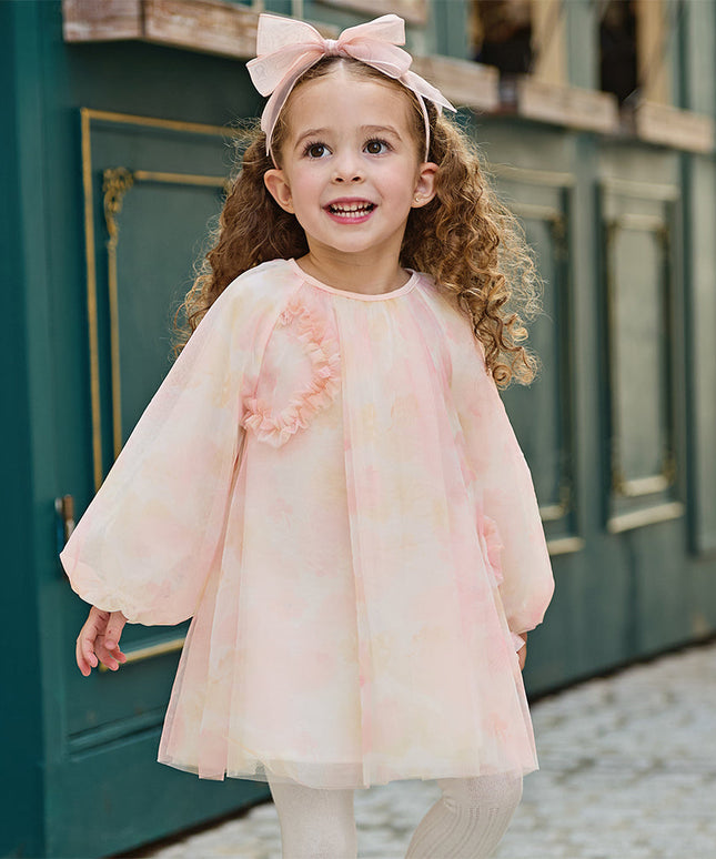 Toddler Girls Adorable Pink Long Sleeve A-line Mesh Dress